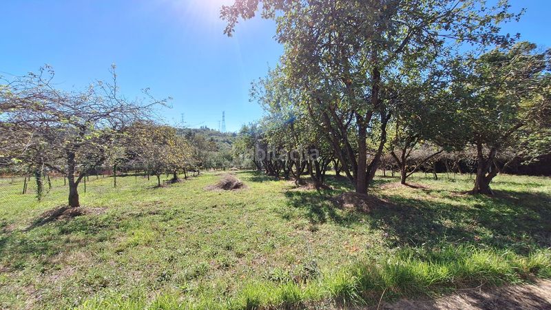 Foto 3c93641e-a8b3-45fd-929b-e360c56e8a2c. Masia a Regueras (Las)