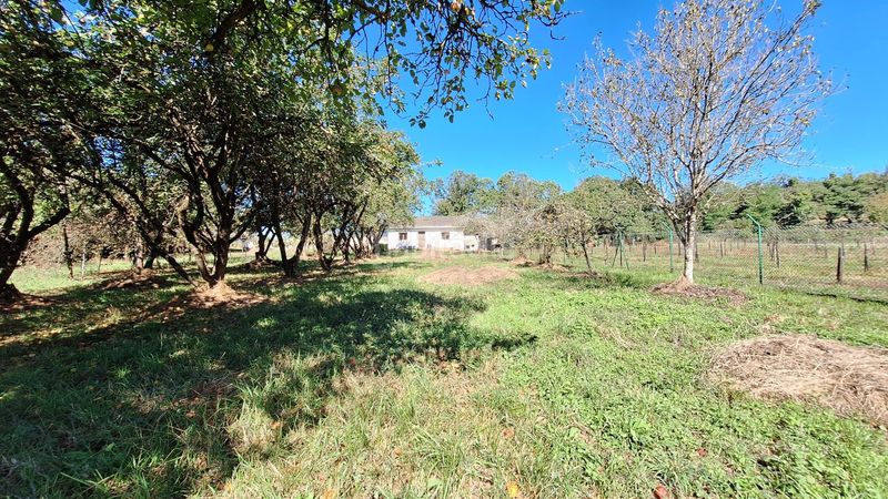 Foto 61ce8d68-c952-4fac-ad02-ab2bc23bf6eb. Masia a Regueras (Las)