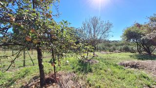 Bauernhof in Regueras (Las). Finca rúst. en venta en santullano, 1 dormitorio.