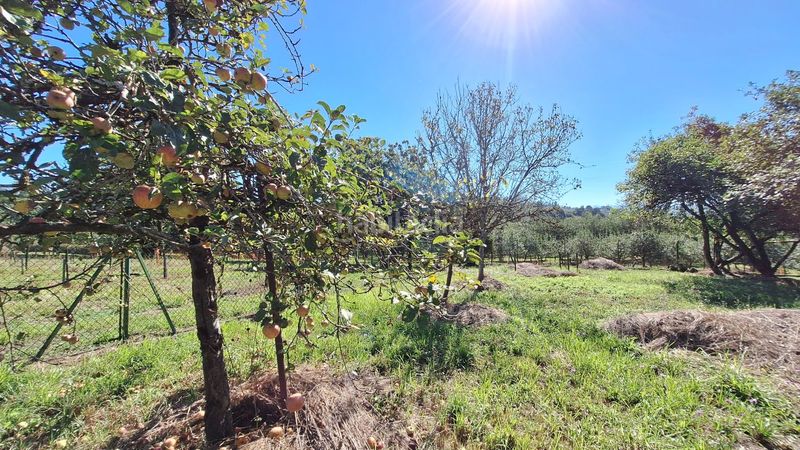 Foto 78de653e-43d8-4ef3-a03e-f2e34ce5ce89. Masia a Regueras (Las)