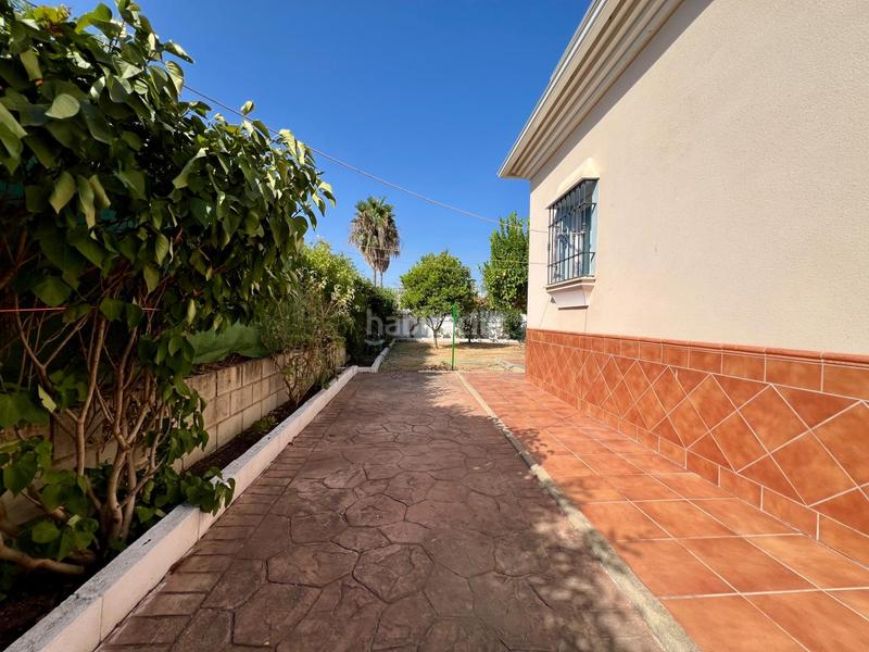 Foto c77a8f66-36bf-4787-84e1-d5db83bc5522. Casa en Carlota (La)