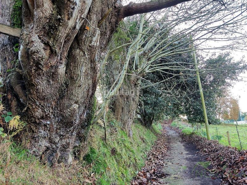 Foto 2a3f06ed-1a85-4385-a085-e164f70ecc4e. Mas dans lugar la cerra 6 dans Parroquias Sur - La Manjoya Oviedo