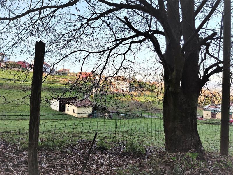 Foto 68d72763-c4e7-4514-9c94-6ee37c928f89. Mas dans lugar la cerra 6 dans Parroquias Sur - La Manjoya Oviedo