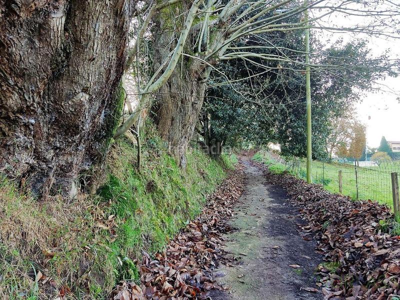 Foto a7b7c14d-fb50-48ab-85b0-16623cdc6be4. Mas dans lugar la cerra 6 dans Parroquias Sur - La Manjoya Oviedo