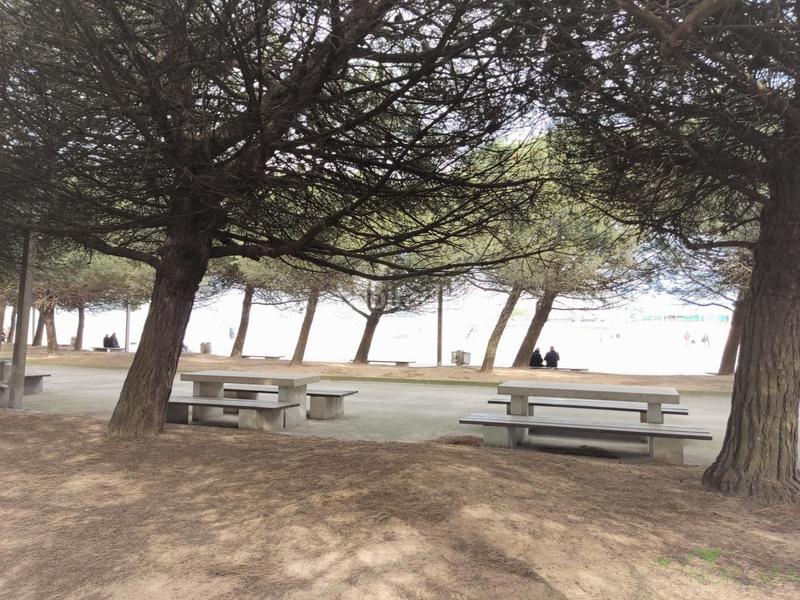 Foto e70f1839-28cd-467c-a336-c022fe5adcb8. Terreno residencial terreno en Jove Gijón