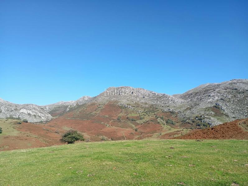 Foto 4fc3ca6a-f5f0-45bb-9e68-af0b65f30e0c. House in Quirós