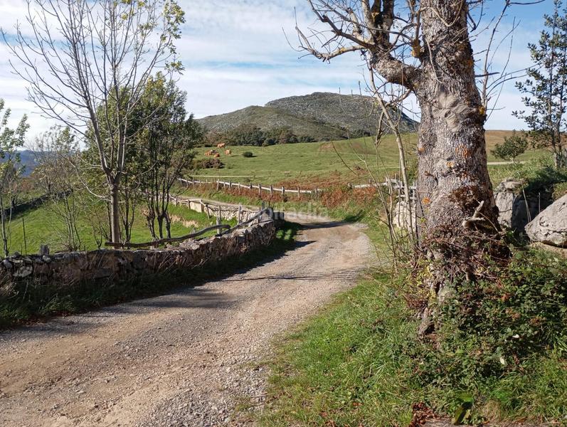 Foto 8e00d899-37f8-478b-b6c9-a5d15516855e. House in Quirós