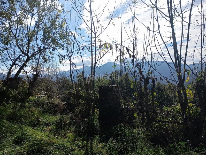 Foto bb7d64b4-8cc2-4fdc-afb7-1f2955deec06. House in Quirós