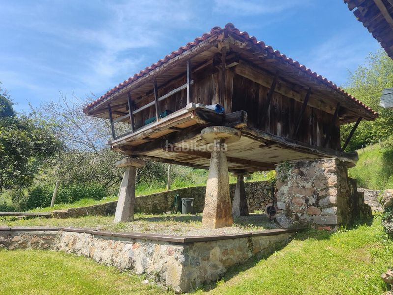 Foto 8c578727-3fb6-4432-88db-00818d62b72d. Xalet amb calefacció aparcament a Cabranes