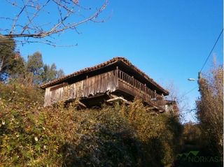 Masia  Aldea corias - prohida 3 (a). Praviafinca rustica
