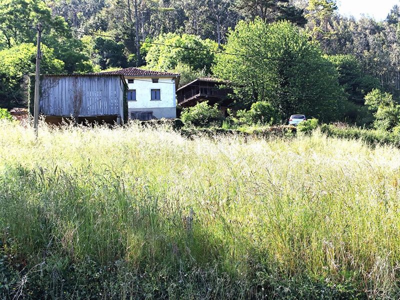 Foto 64de1474-a34b-433b-a6c6-53096bda307c. Casa a Salas