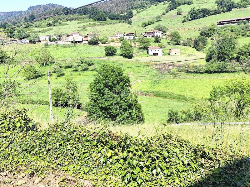 Foto 95b8a8bc-a226-4668-bf8e-9e2ab0b2ffb7. Casa a Salas
