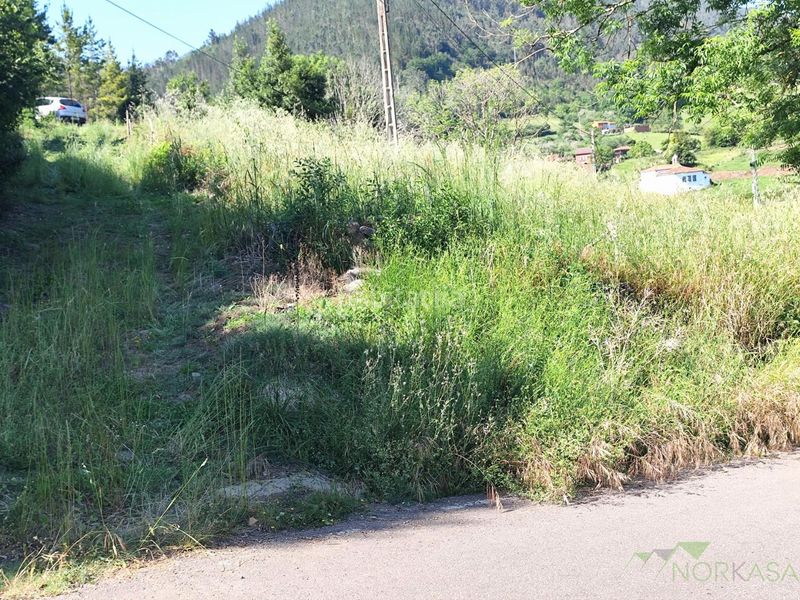 Foto cd938319-346b-4d70-8508-08bd3055cd68. Casa a Salas