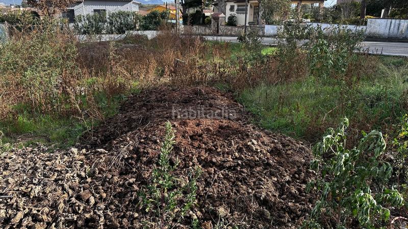 Foto 37d86277-d5c8-482f-923b-92d6f6016cc3. Wohngrundstück in Llagostera