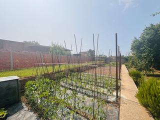 Casa adossada a Cass de la Selva. Oportunidad! casa de pueblo para reformar con jardn