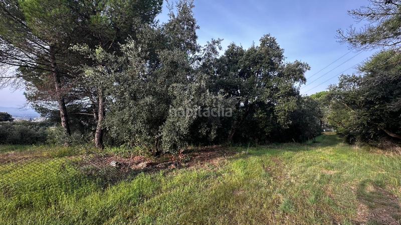 Foto 5641e86b-0ab9-45db-88df-71873ca4c19c. Fondo rustico in Cassà de la Selva