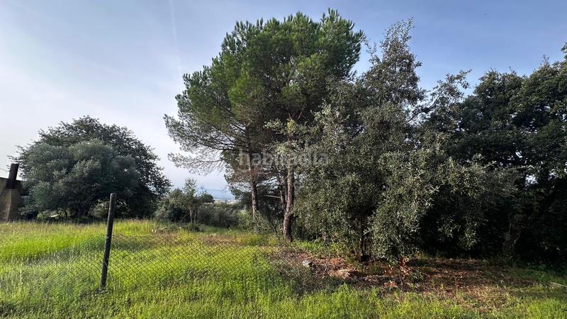 Foto c363a067-f189-4507-b38c-6ba291358e02. Fondo rustico in Cassà de la Selva