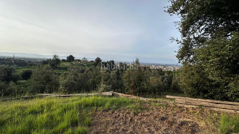 Foto ecb5624f-f8a2-41dd-9b54-7a29f7acfeb0. Fondo rustico in Cassà de la Selva