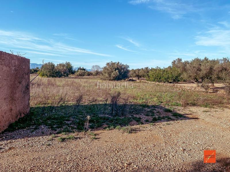 Foto f16d8bb8-ceca-4495-86c4-67661f0da0f1. Mas dans Freginals