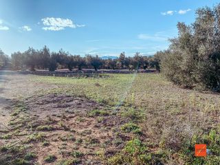 Bauernhof in Santa Bàrbara. Finca rustica con caseta en venta en santa barbara tarragona