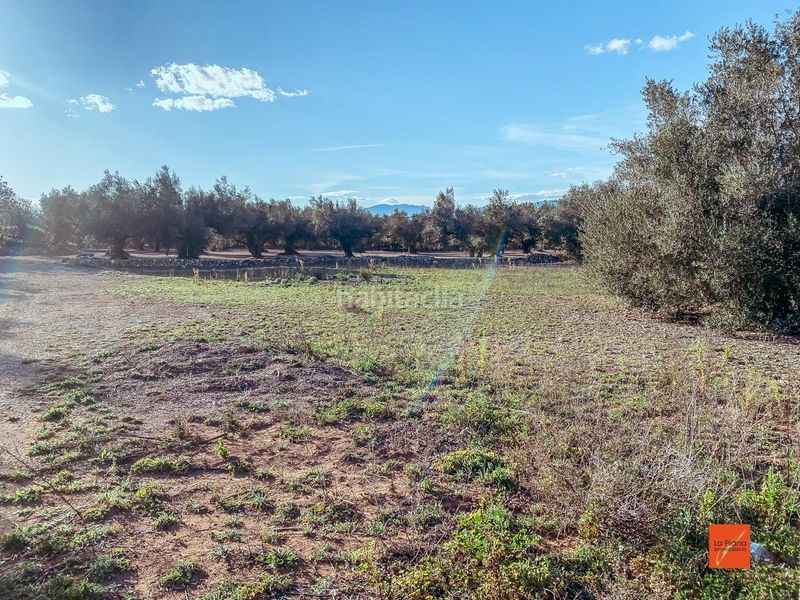 Foto 1101a7e4-4bc8-4b0c-9154-721a5251a7eb. Masia a Santa Bàrbara
