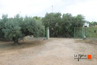 Masia a Aldea (L´). Finca rustica de olivos en venta en la aldea tarragona