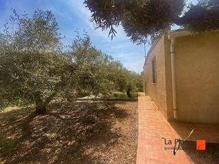 Finca rústica a Alcanar. Se vende finca rustica con casa, almacen y granja en alcanar tar