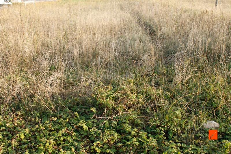 Foto 6c4ed264-82d7-403b-a6c1-9c562aad9a98. Wohngrundstück in Ulldecona