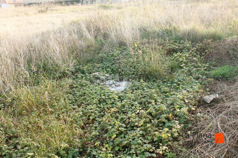 Foto e45aa219-1b3d-42f9-bdd4-d9716a13f79d. Wohngrundstück in Ulldecona