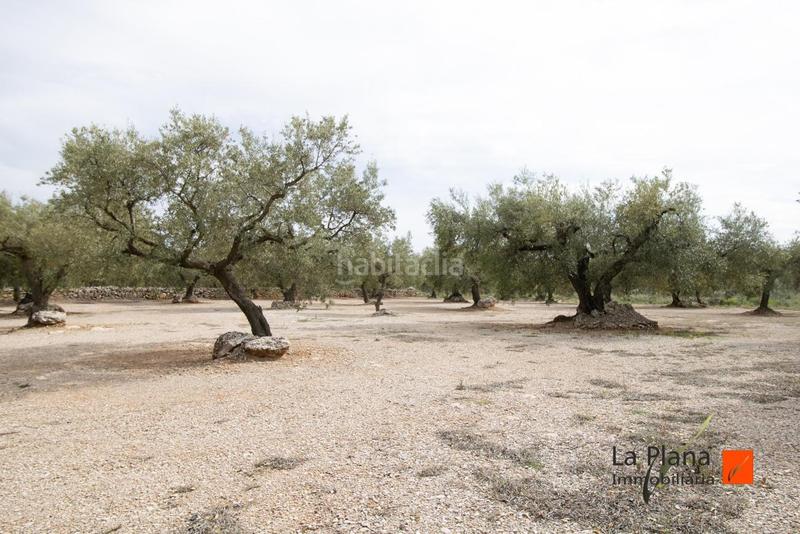 Foto 12939a62-3f5c-41f0-8f86-bfa448b9448c. Propriété dans Galera (La)