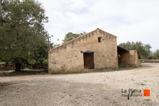 Finca rústica a Galera (La). Finca de olivos en venta en la galera tarragona