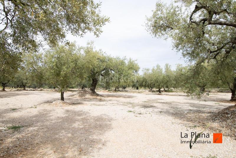 Foto 573318a8-5f55-49a1-a253-65f88290c06c. Propriété dans Galera (La)