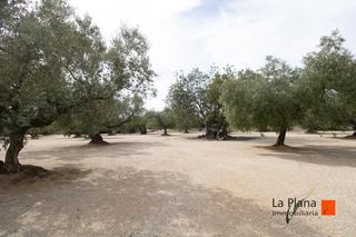 Masia a Galera (La). Finca rustica les coves con caseta en venta en la galera tarrago