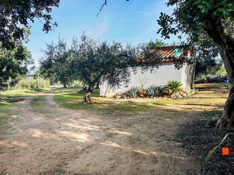 Foto 4769afac-7efe-47fc-89d5-b174961792f0. Mas dans Grau - Quintanes Amposta