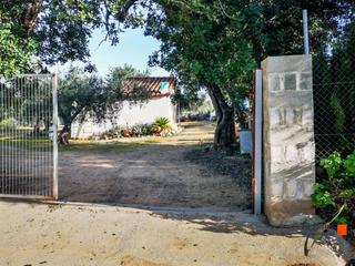 Country house in Grau - Quintanes. Finca rustica con casa en amposta tarragona