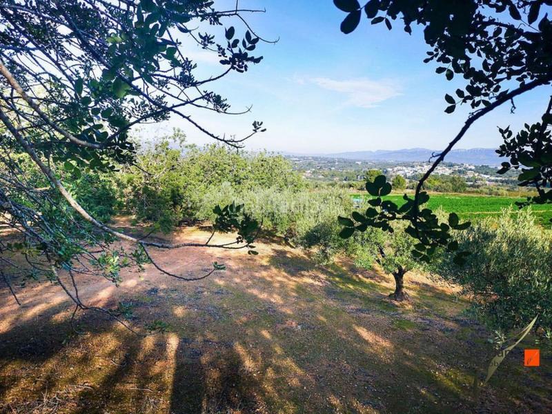 Foto e1c358c0-5bc6-4616-bef2-df20be901d53. Mas dans Grau - Quintanes Amposta