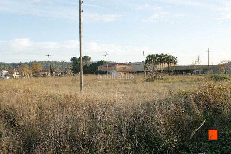 Foto 6e7a2ffd-cc3f-42b2-9407-549dfe35ecd6. Terreno residenziale in Ulldecona