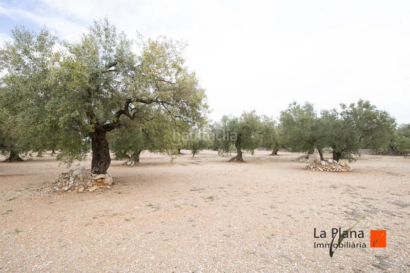 Foto 47a85c5a-d792-4672-981f-cba2bdaff7de. Country house in Godall