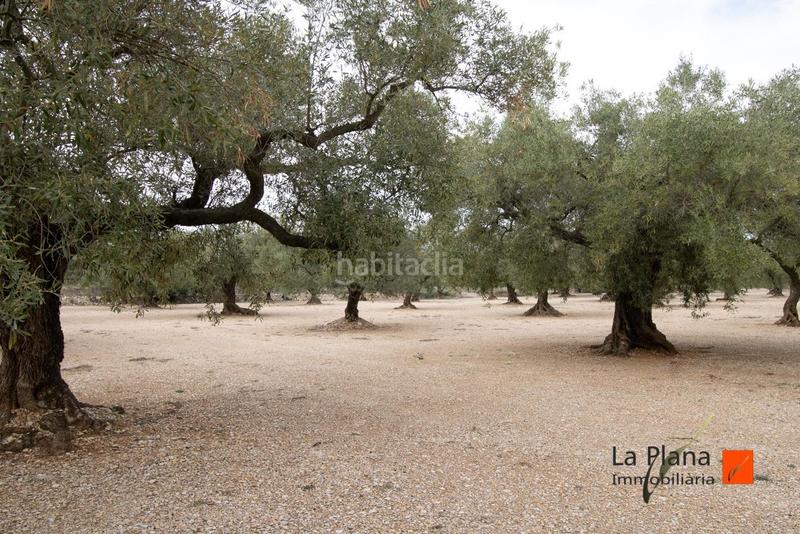 Foto 559f6d6e-a1ac-4a24-a32e-8990ea4ed9ae. Country house in Godall