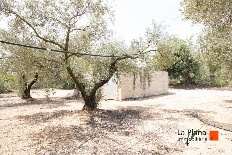 Foto 2b1bf522-e848-4be4-8770-7b1a7381d75d. Terreno residenziale in Santa Bàrbara