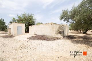 Terreny residencial a Santa Bàrbara. Finca de regadio en venta en santa barbara tarragona