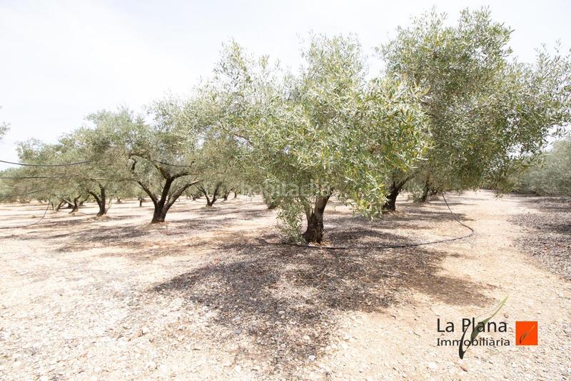 Foto d684eb44-b85a-4e1c-acfe-b543135f24a1. Terreno residenziale in Santa Bàrbara