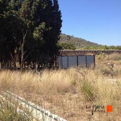 Finca rústica a Ulldecona. Buena oportunidad en ulldecona
