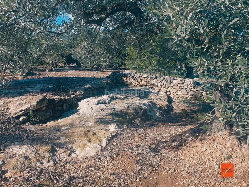 Foto 24add5c4-4f62-4b72-a239-cb32f35e6b14. Propriété dans Nord Sant Carles de la Ràpita