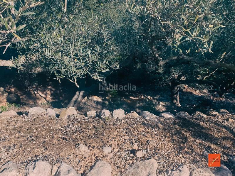 Foto 41e13cec-c5f7-40ec-86bc-1ab5def439f1. Propriété dans Nord Sant Carles de la Ràpita