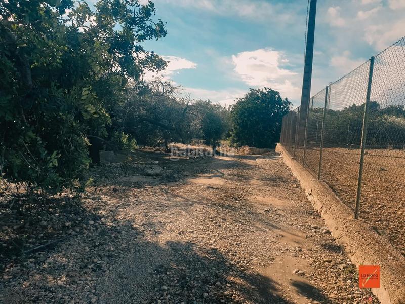 Foto d355f2da-6a24-446d-9e3f-8fb5bcbf42b7. Propriété dans Nord Sant Carles de la Ràpita