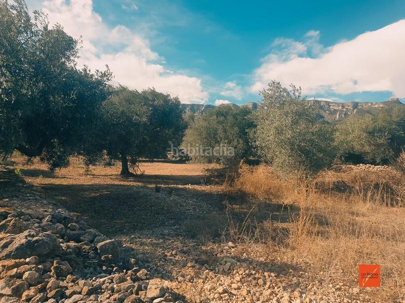 Foto ec6e6c81-3101-4df3-85cb-b668a38c73c6. Propriété dans Nord Sant Carles de la Ràpita