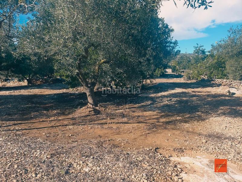 Foto fc714728-2d4a-4f9f-95db-ef61e7e484c5. Propriété dans Nord Sant Carles de la Ràpita