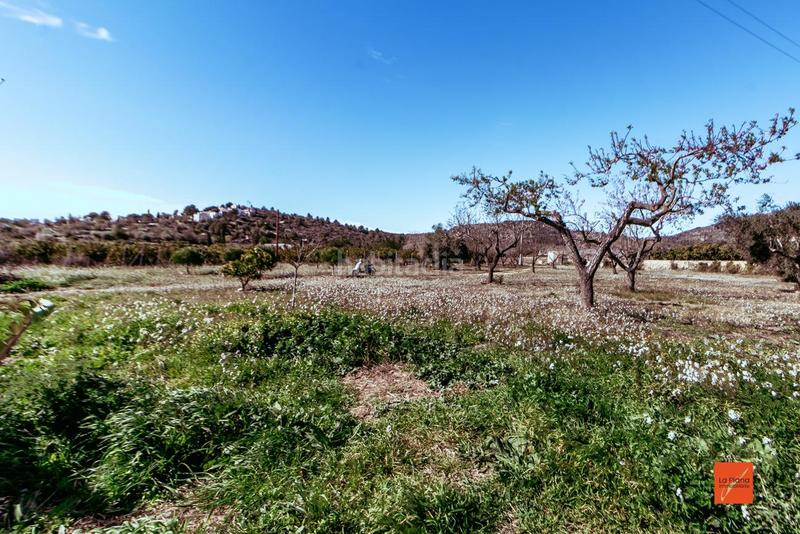 Foto 4eb195b7-329e-4d44-ad0c-80fd9acb0126. Chalet  en venta tarragona en Ulldecona