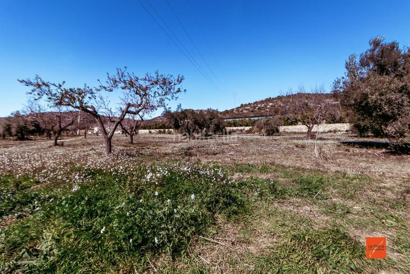 Foto b58f205a-819c-4a4e-91d7-fb9764d318c7. Chalet  en venta tarragona en Ulldecona